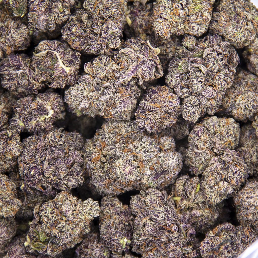 Rocket Chronic