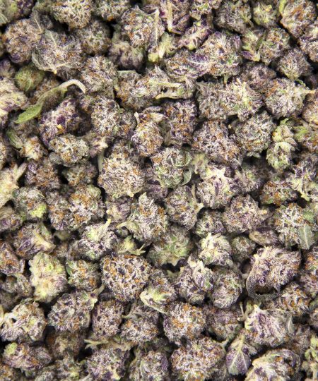 Alternative view of Blackberry Gary (popcorn) AAA