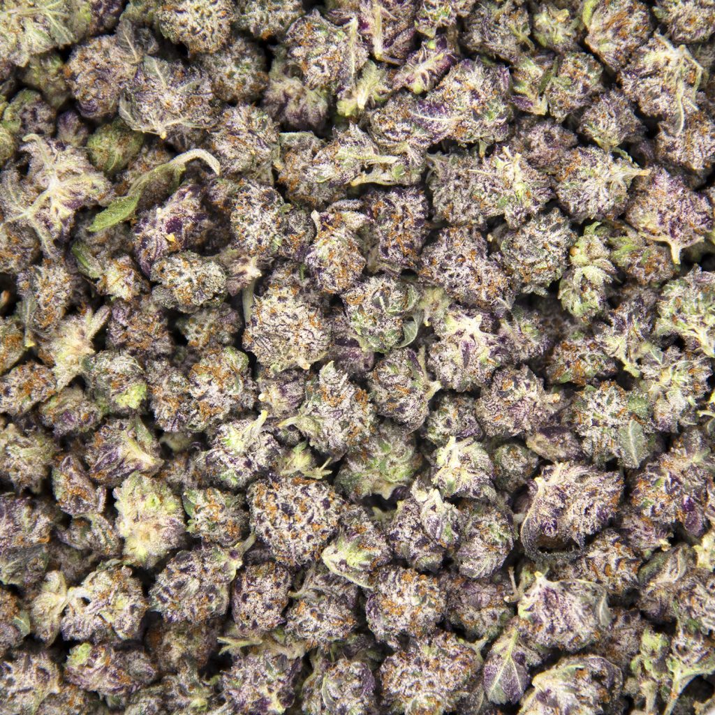 Rocket Chronic
