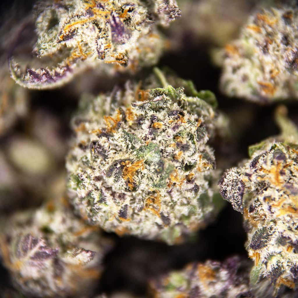 Rocket Chronic