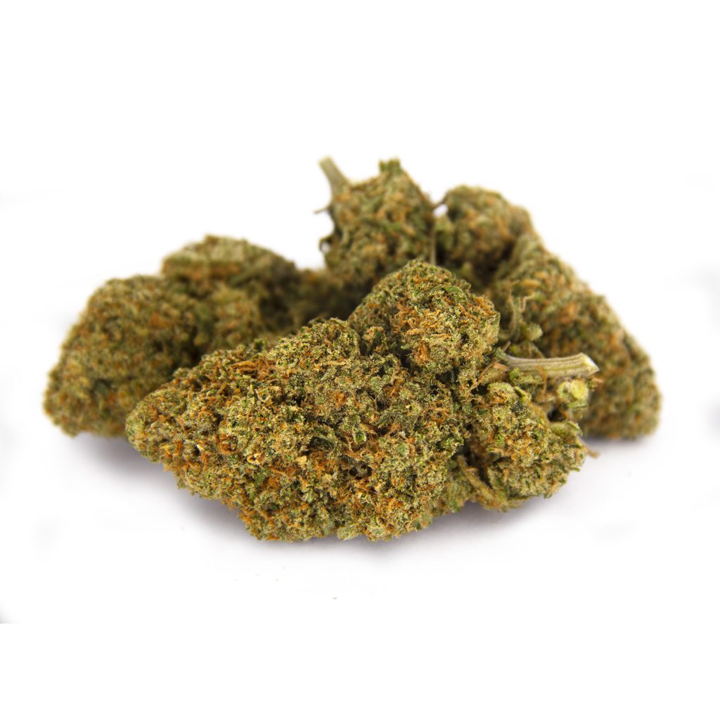 Rocket Chronic