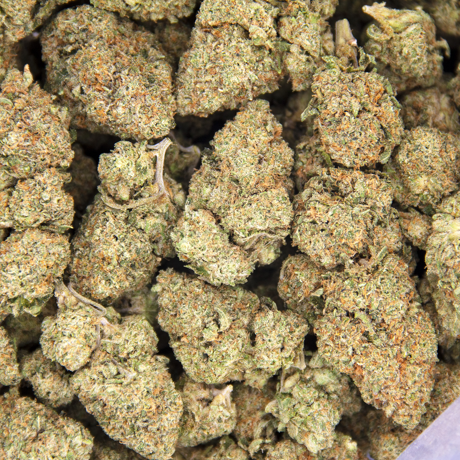 Durban Cookies AAA - Image 3
