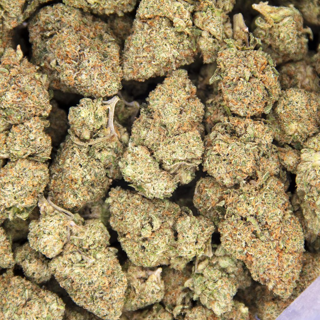 Rocket Chronic