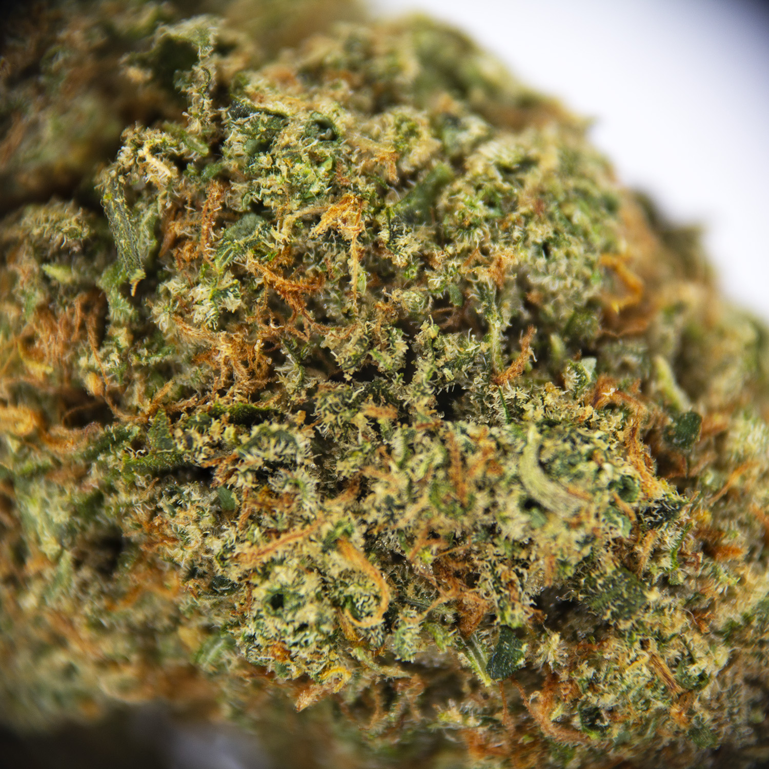 Durban Cookies AAA - Image 2