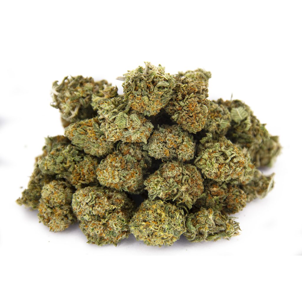 Rocket Chronic