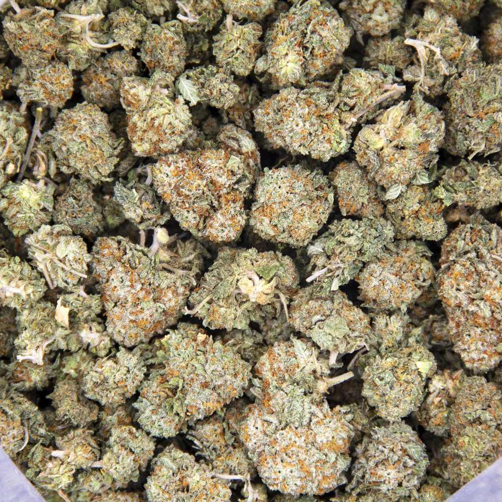 Rocket Chronic