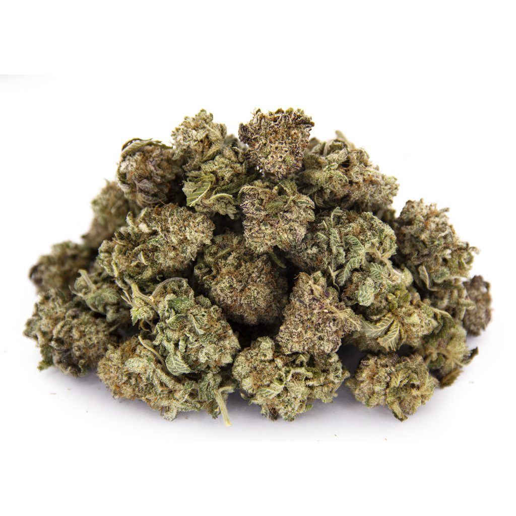 Rocket Chronic