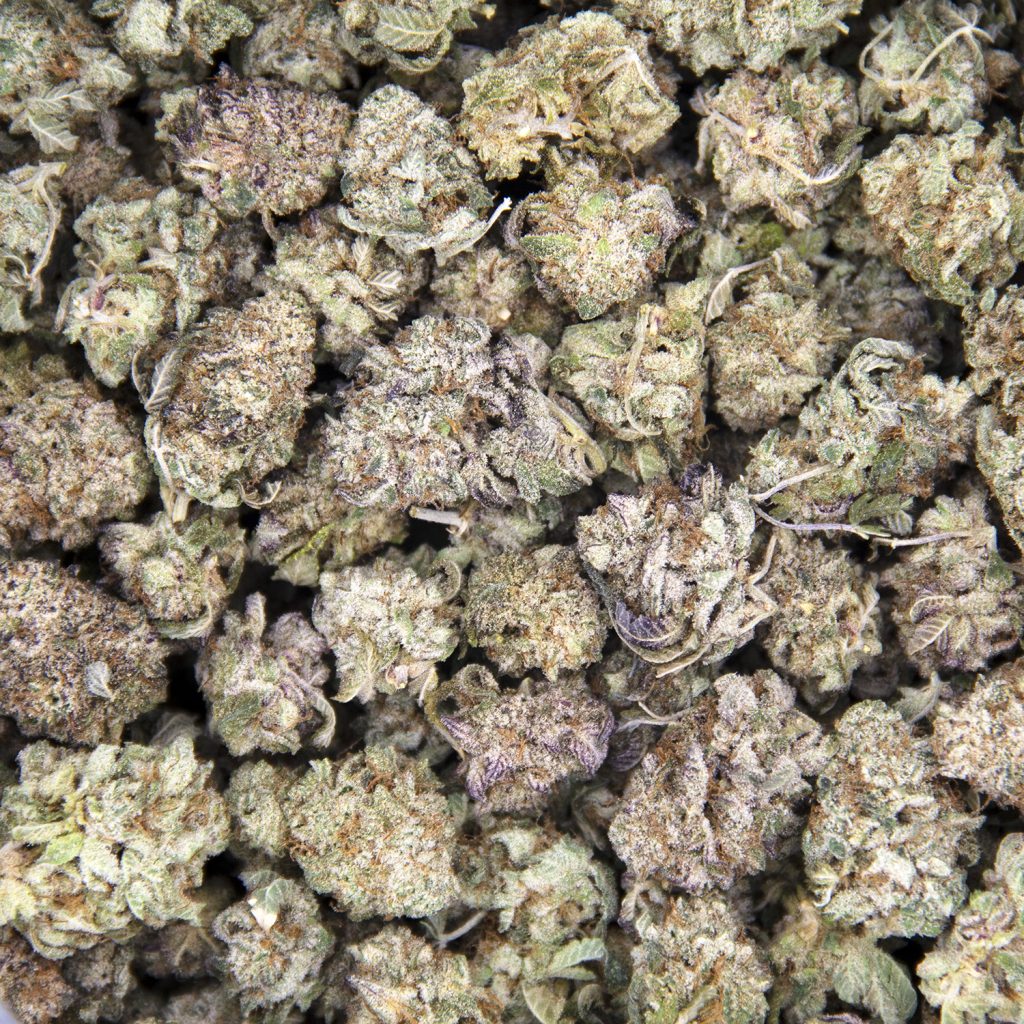 Rocket Chronic
