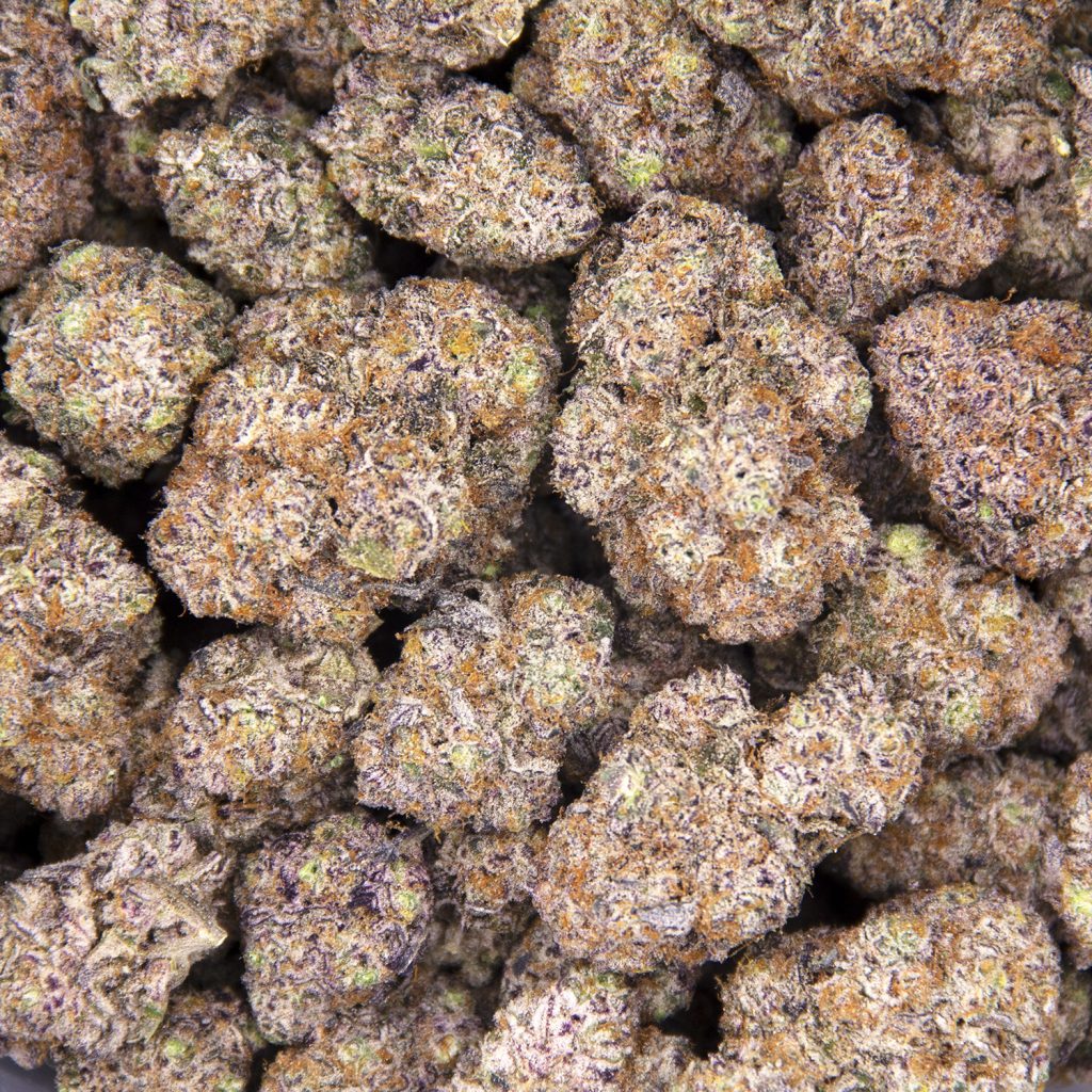 Rocket Chronic