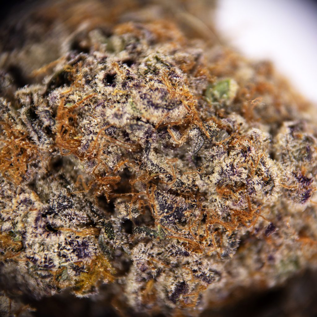 Rocket Chronic