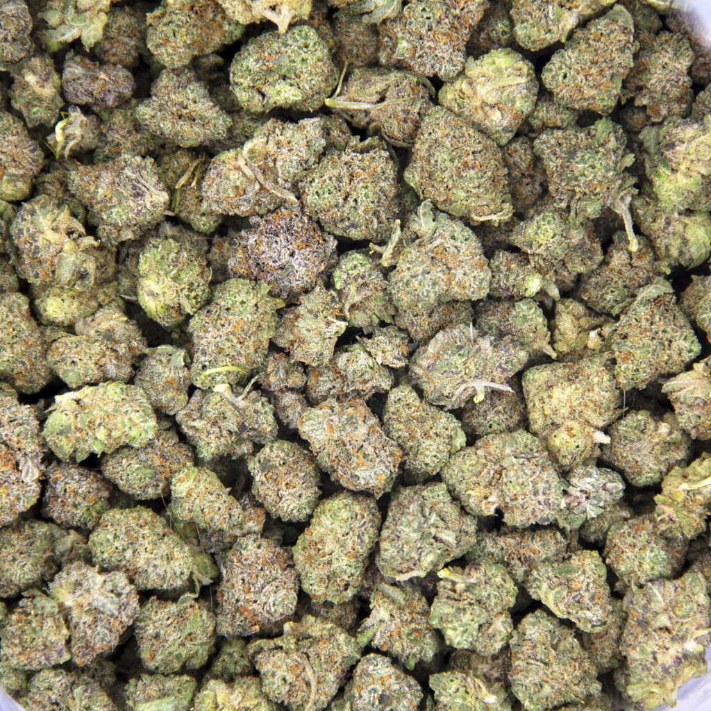 Rocket Chronic