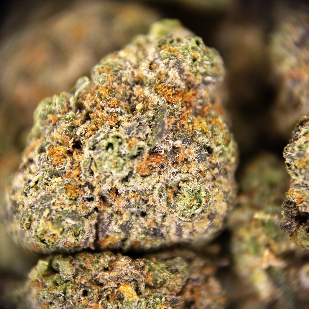 Rocket Chronic