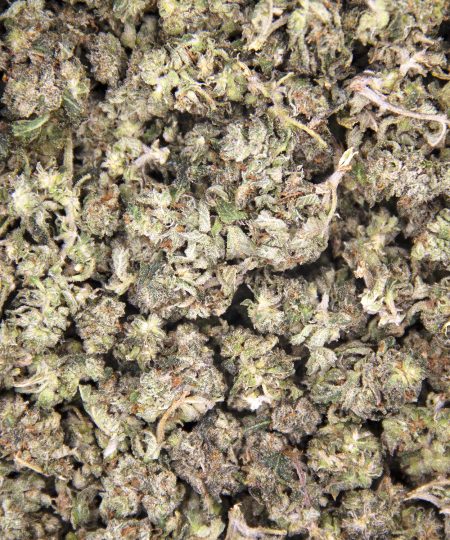 Alternative view of Hindu Kush (popcorn) AA