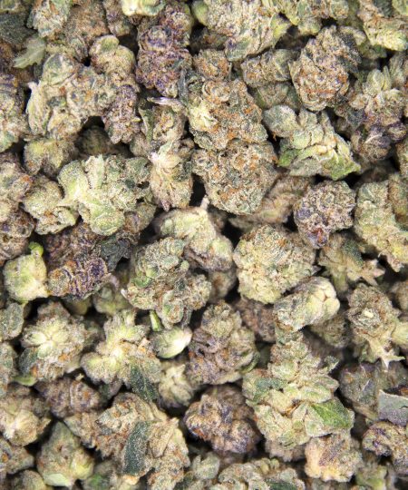 Alternative view of King Tut (smalls) AA+