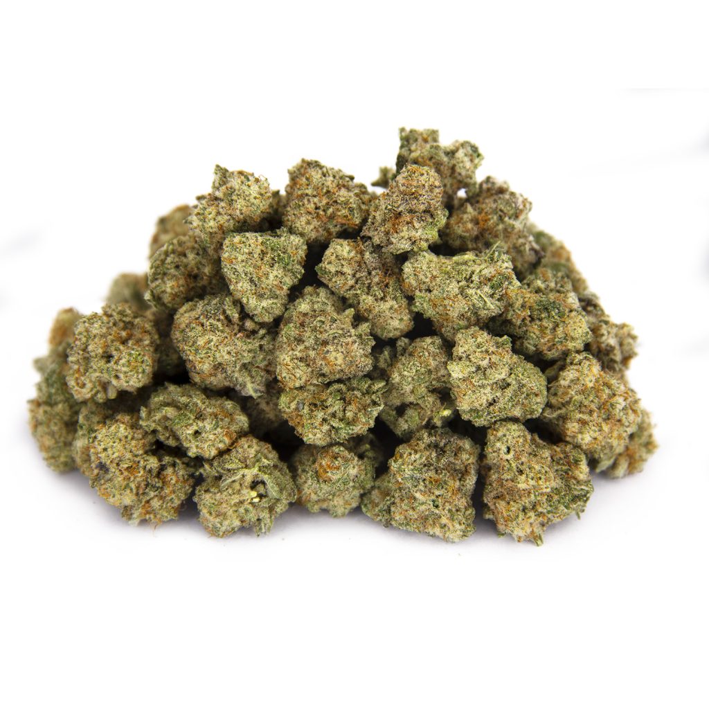 Rocket Chronic