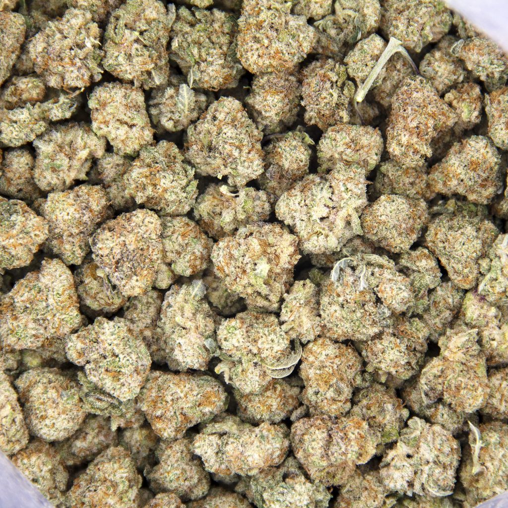 Rocket Chronic
