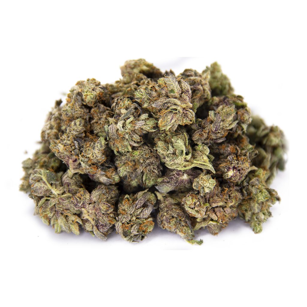 Rocket Chronic