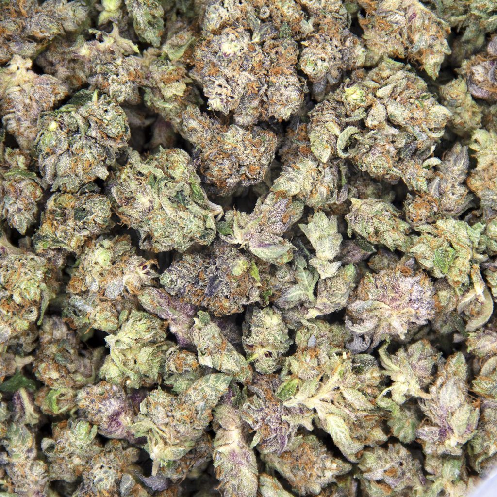 Rocket Chronic