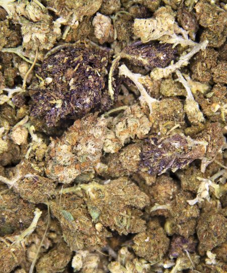 Alternative view of Old Indica (popcorn) A