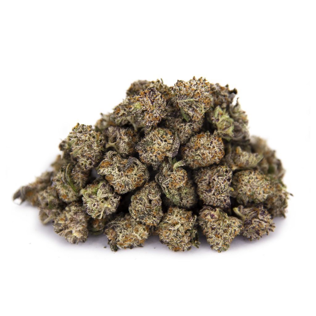 Rocket Chronic