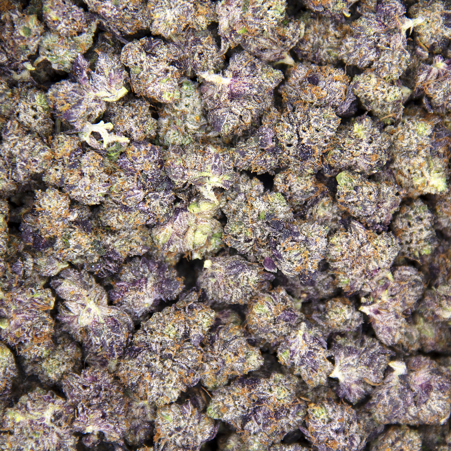 Pink Kryptonite (smalls) AAAA - Image 3