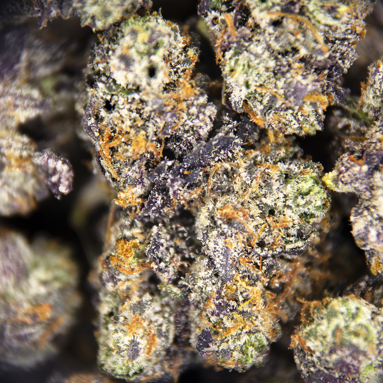 Pink Kryptonite (smalls) AAAA - Image 2