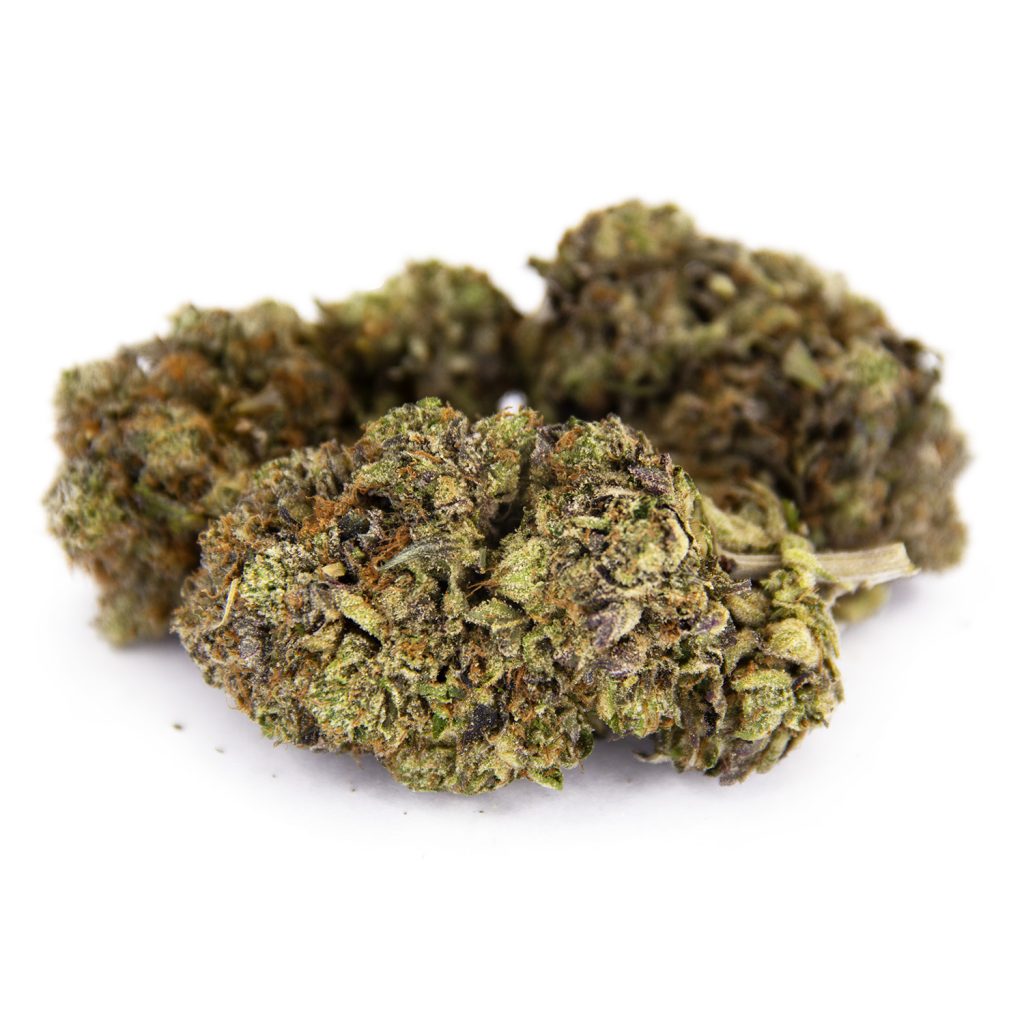 Rocket Chronic