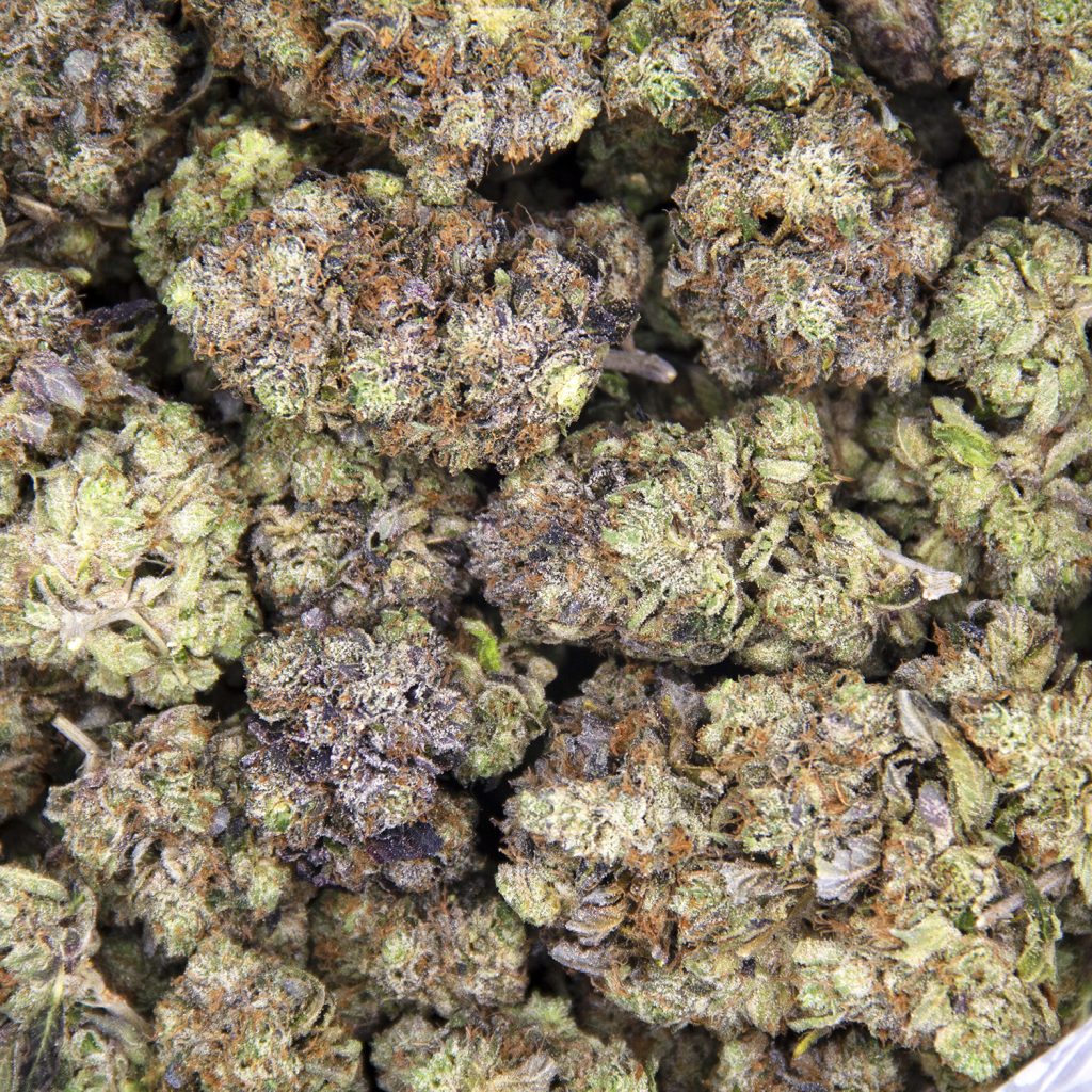 Rocket Chronic