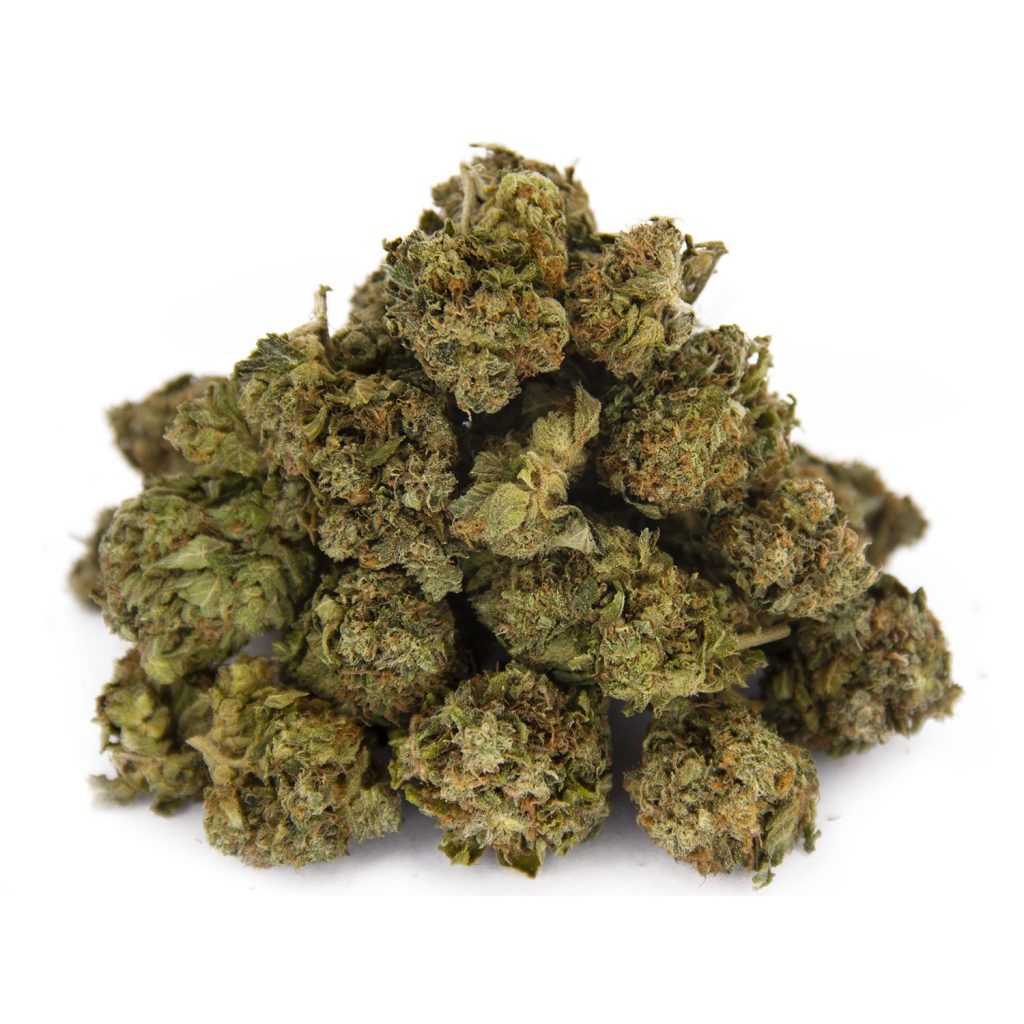 Rocket Chronic