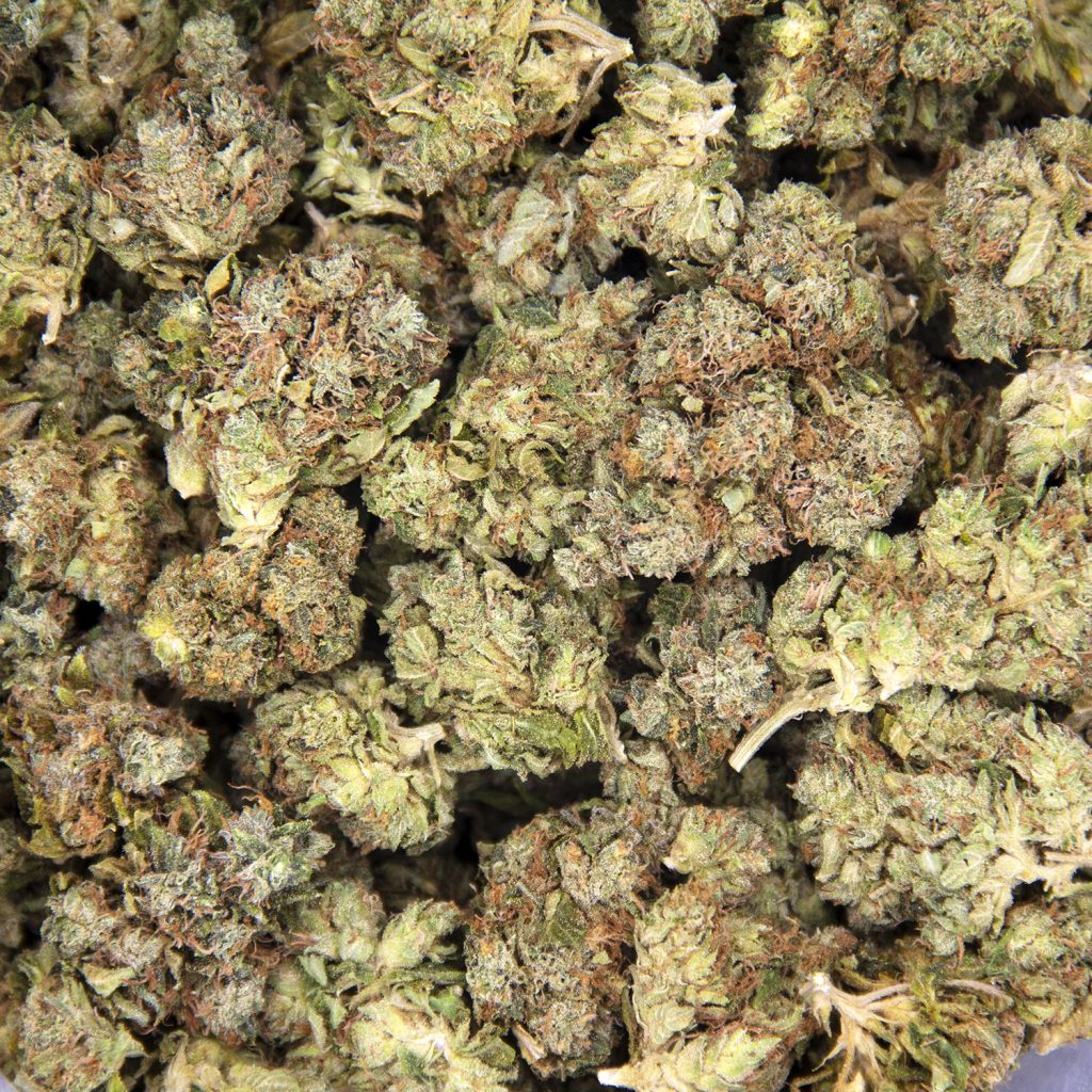 Rocket Chronic
