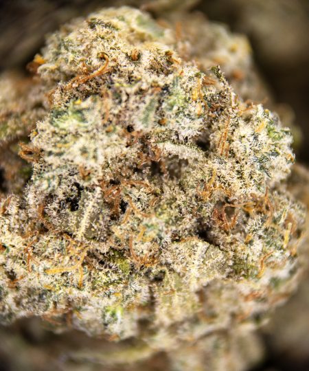 Alternative view of Silver Haze (popcorn) AA