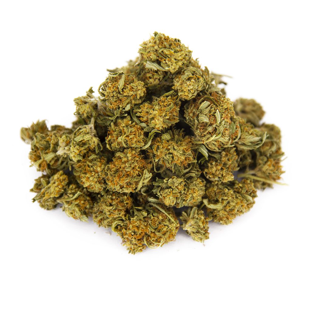 Rocket Chronic