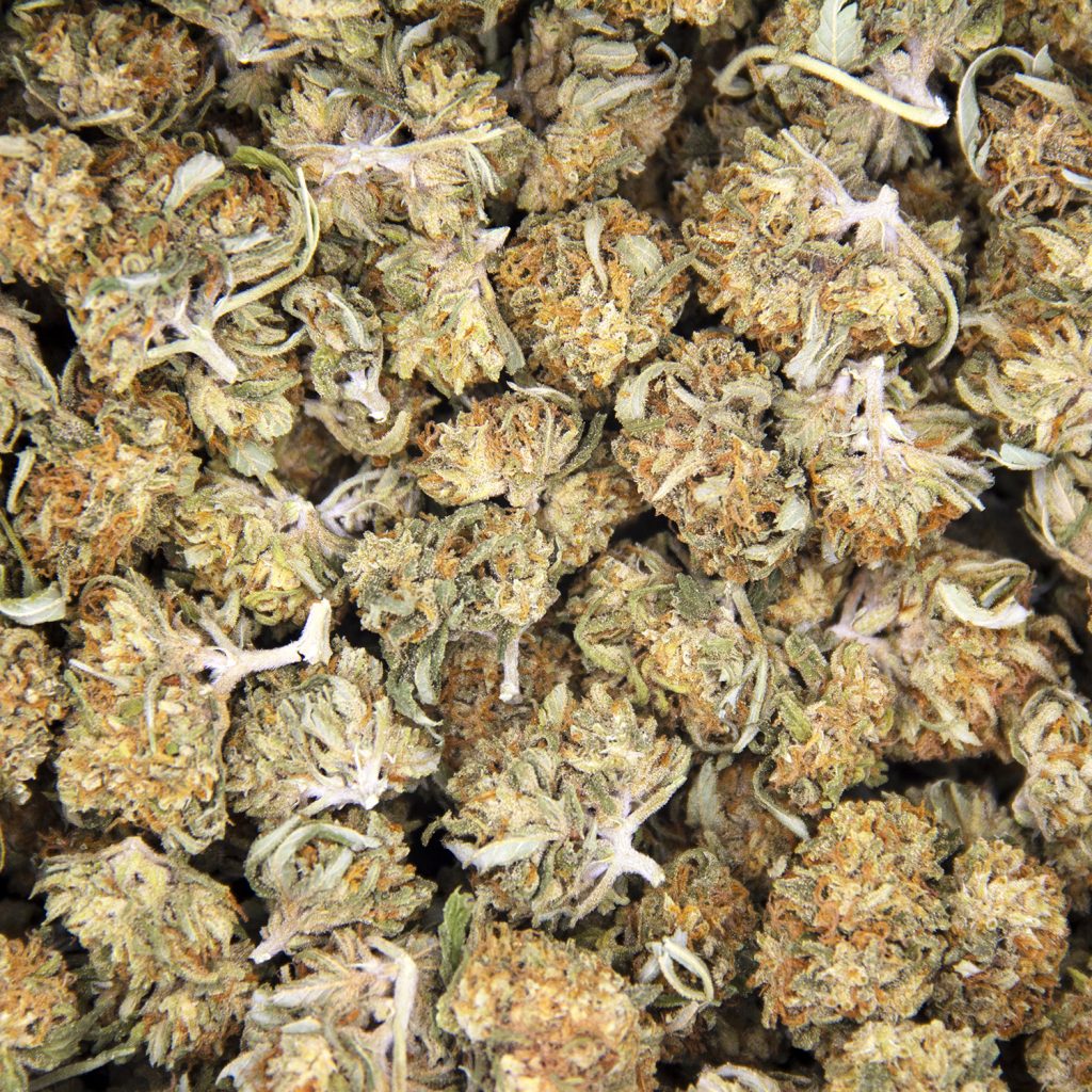 Rocket Chronic