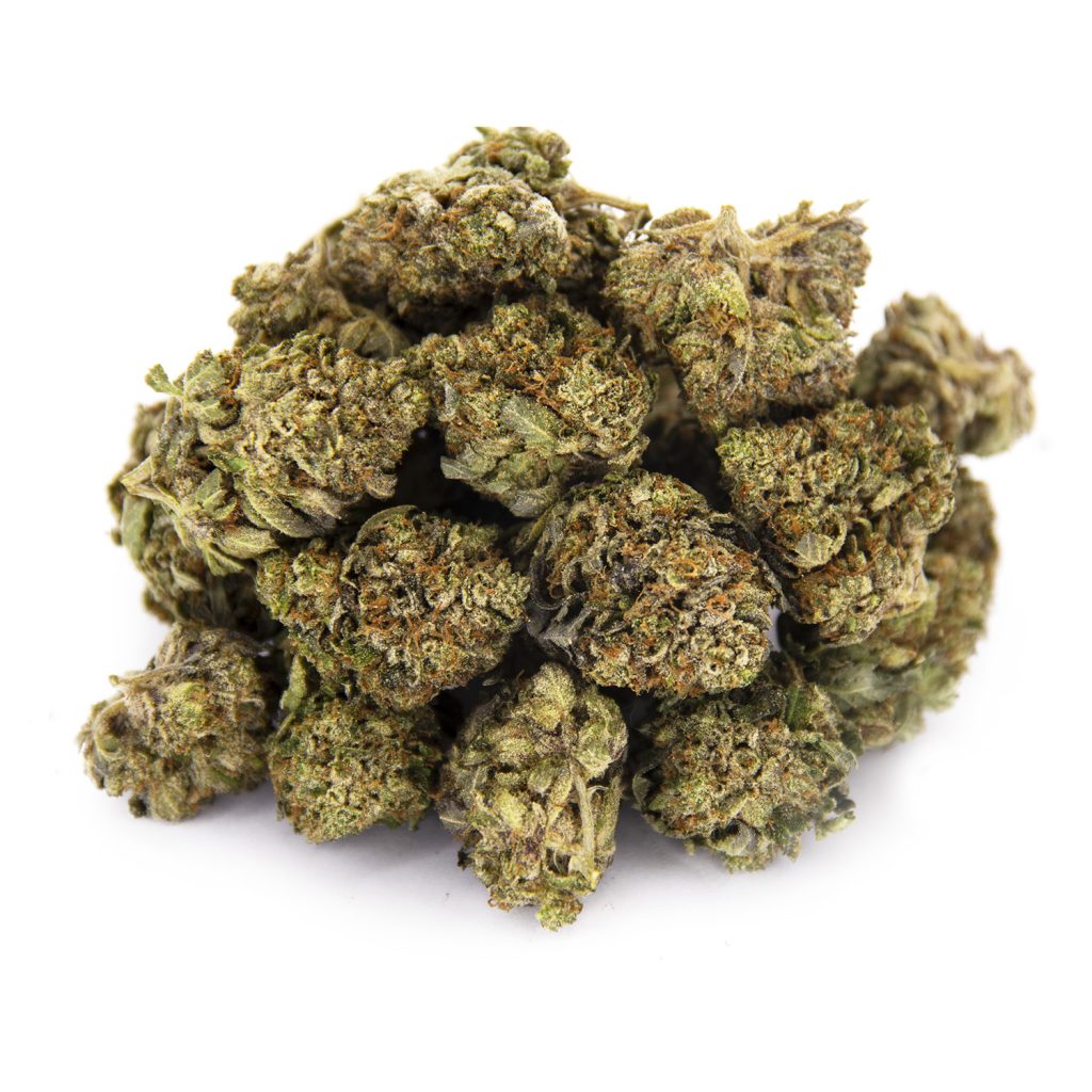 Rocket Chronic