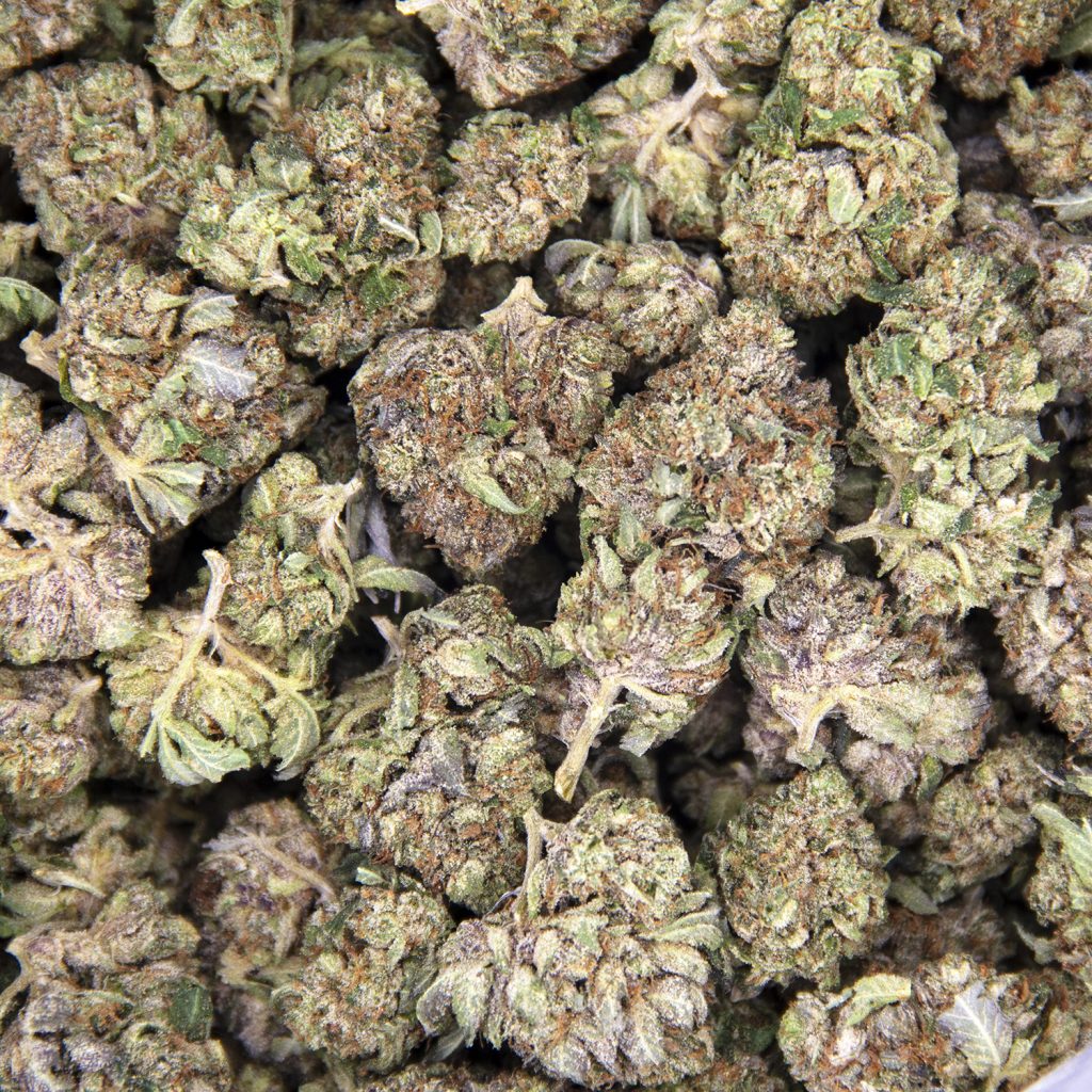Rocket Chronic
