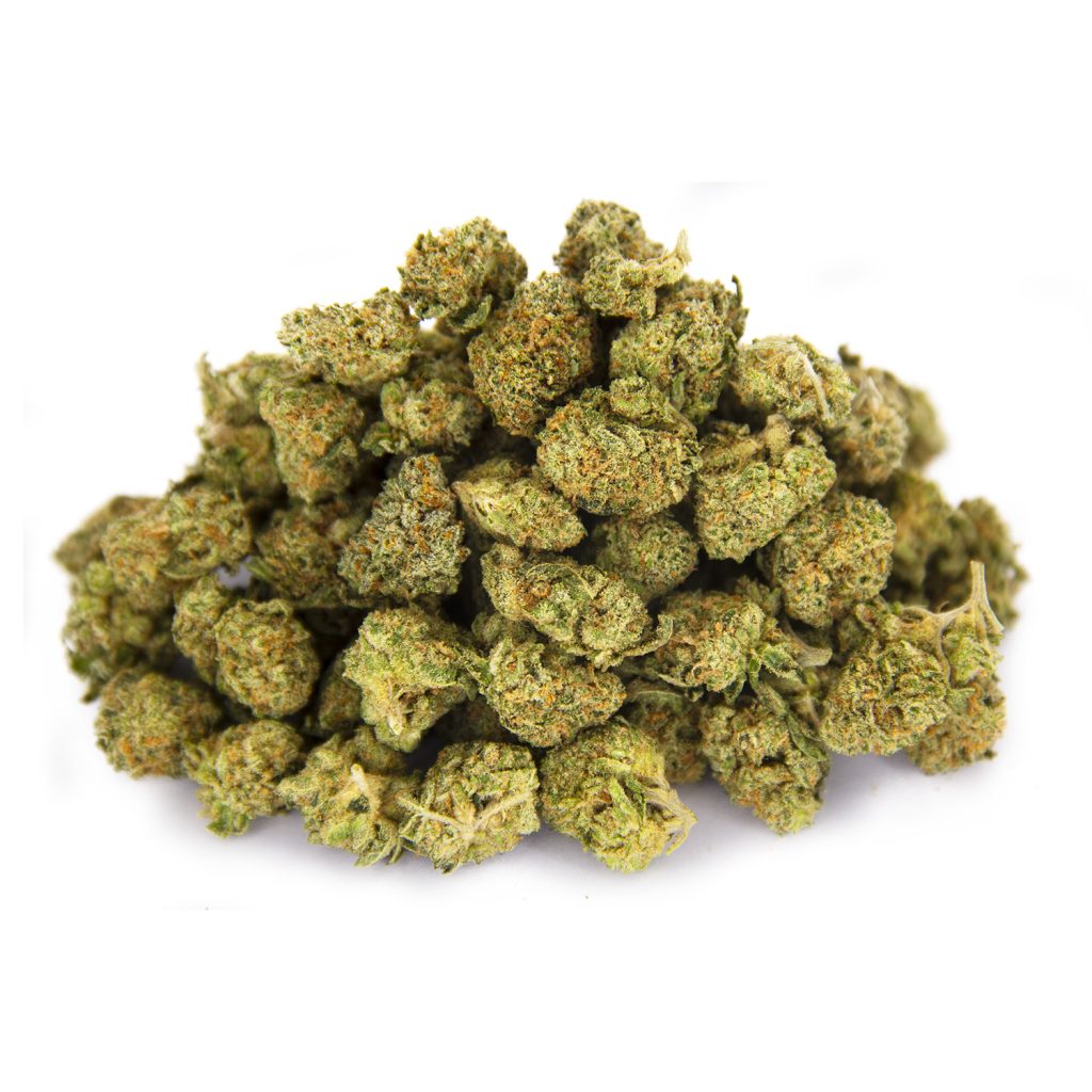 Rocket Chronic