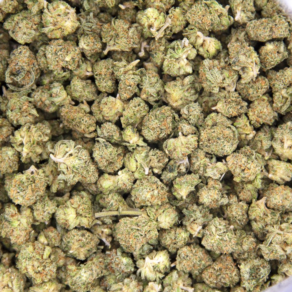 Rocket Chronic