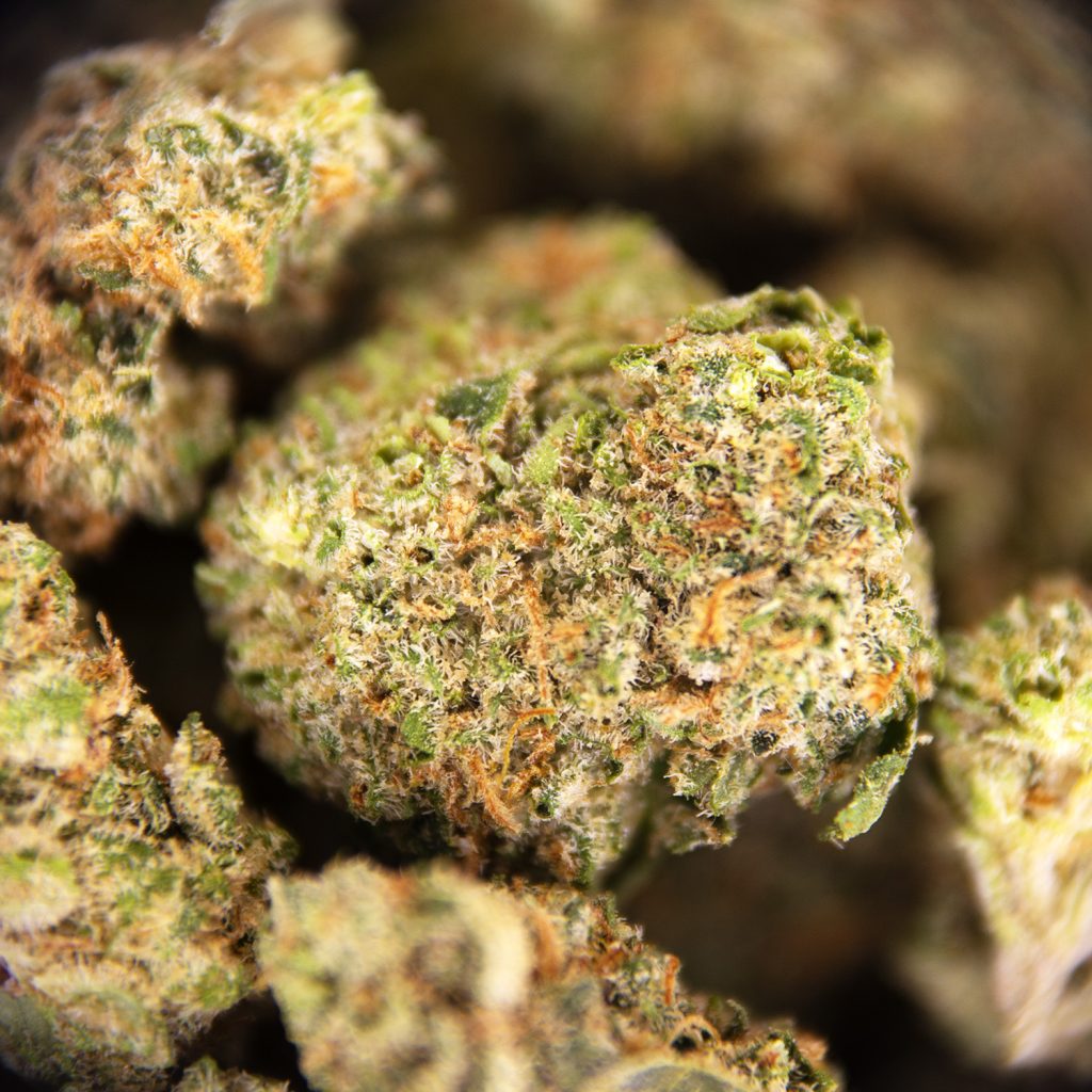 Rocket Chronic