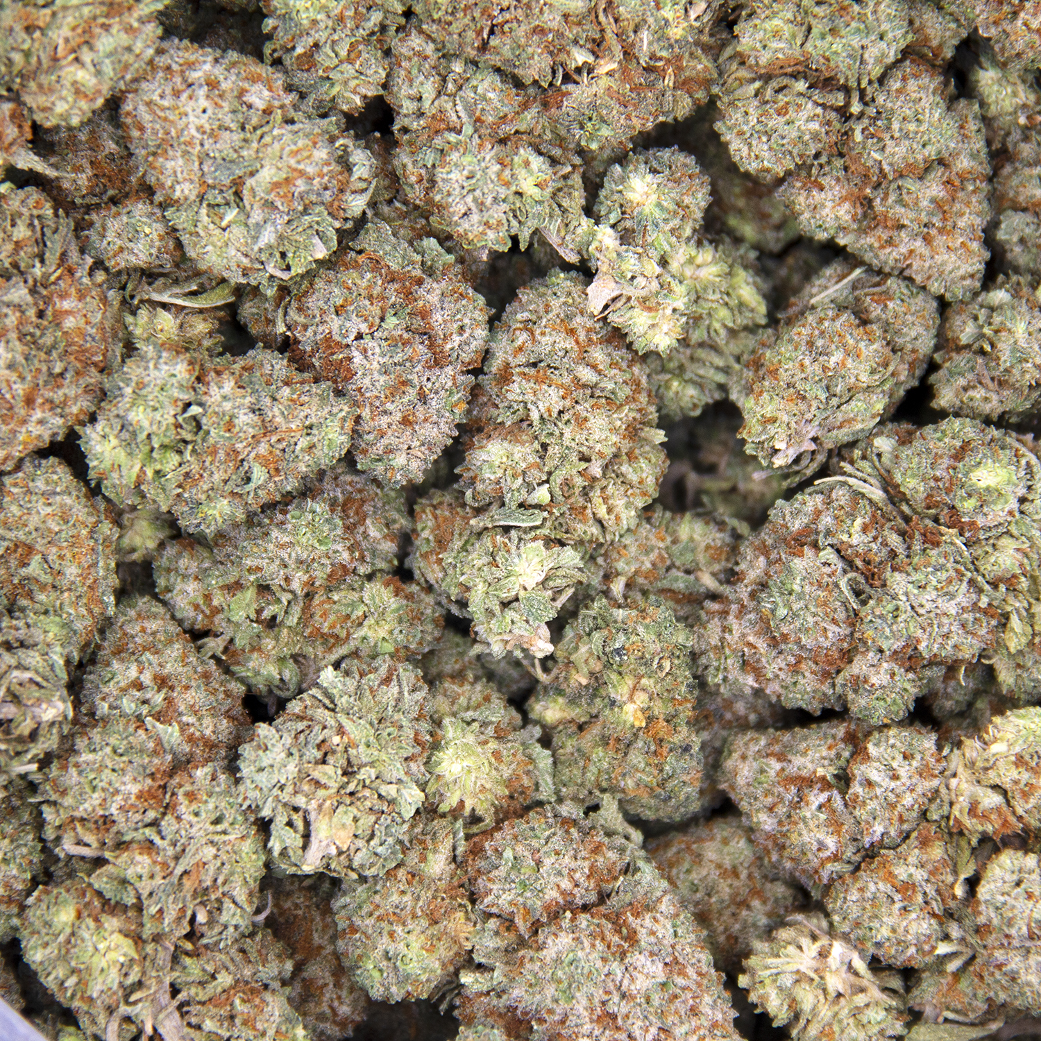 Goudaberry (smalls) AA - Image 3