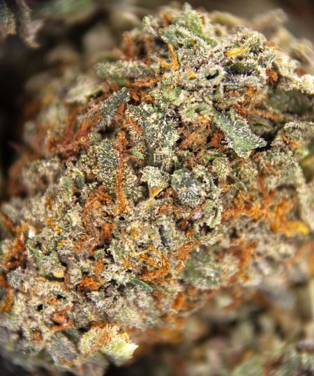 Alternative view of Lemon Kush (smalls) AA