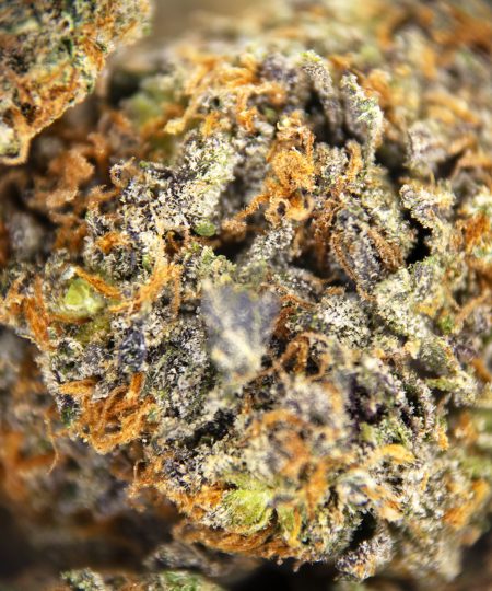 Alternative view of Lucky Charms (mediums) AAA
