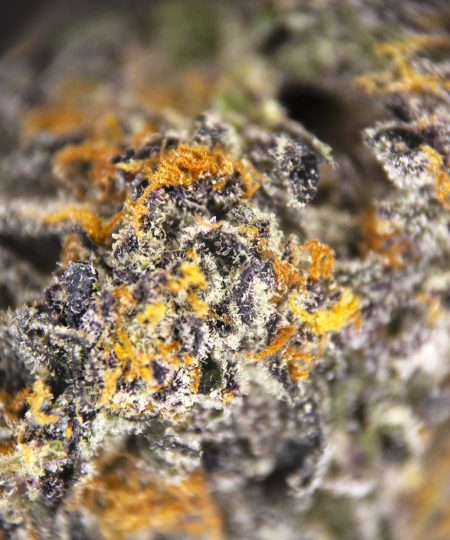 Alternative view of Purple Space Cookies AAA