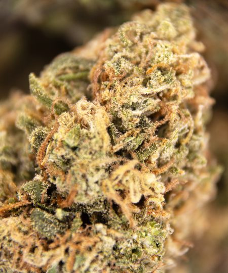 Alternative view of Super Sour Diesel (mediums) AA