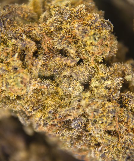 Alternative view of White Berry AA